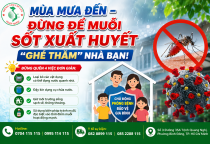 Mùa Mưa Đến: Cách Phòng Sốt Xuất Huyết Và Nhận Biết Dấu Hiệu Nguy Hiểm