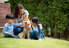 Bị chó cắn mà chó khỏe thì không cần tiêm? Đừng vội kết luận chỉ bằng biểu hiện của con vật
