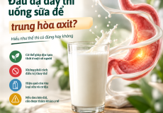 Đau Dạ Dày Uống Sữa Để Trung Hòa Axit Có Đúng Không?